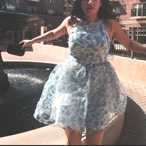 Cinderella Collection Mini Dress